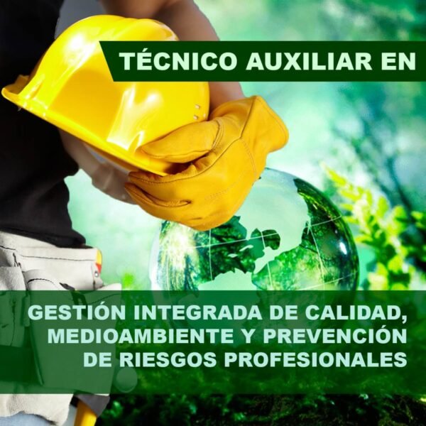 Técnico en gestión integrada de calidad, medioambiente y prevención de riesgos profesionales | Semestre